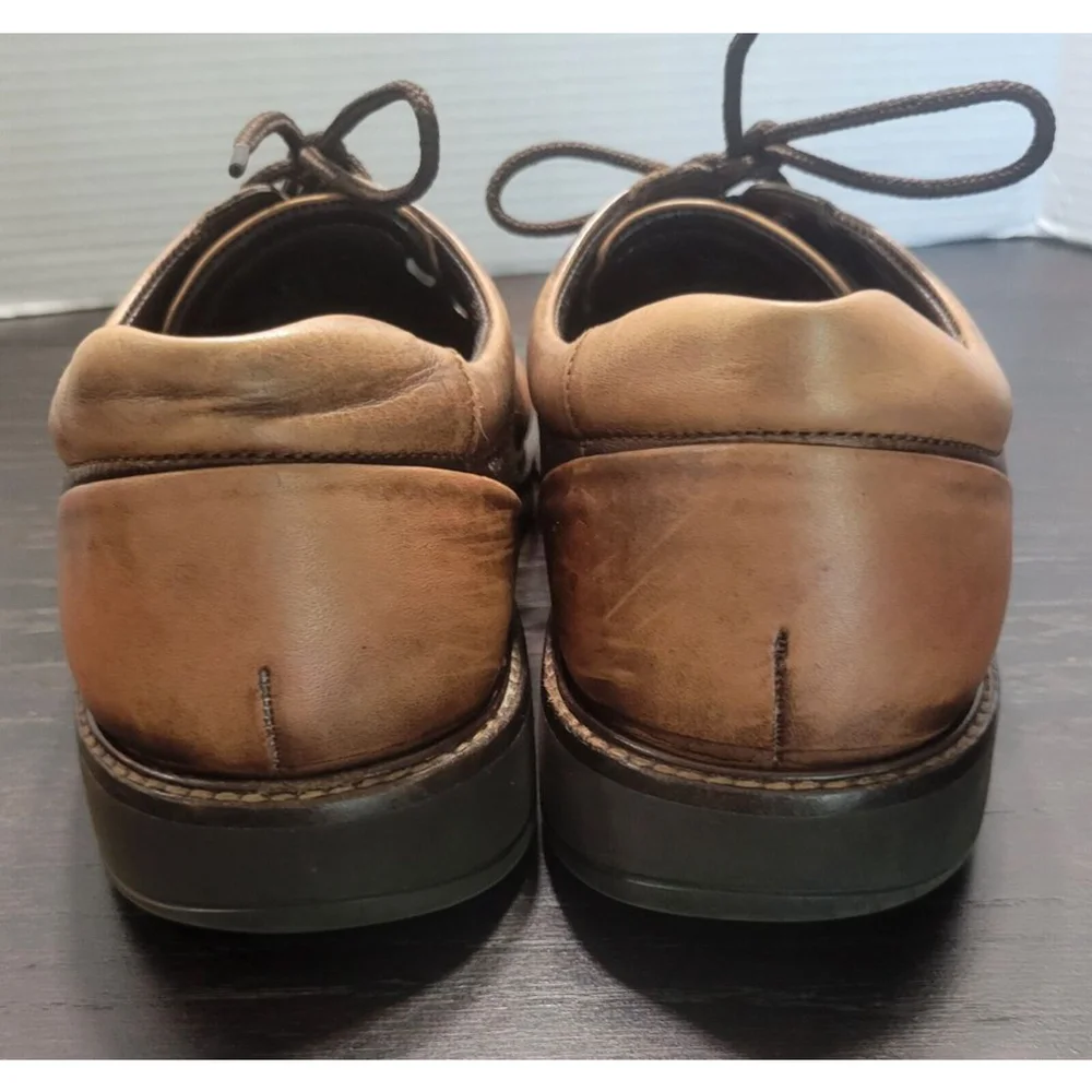 Ecco elevate your